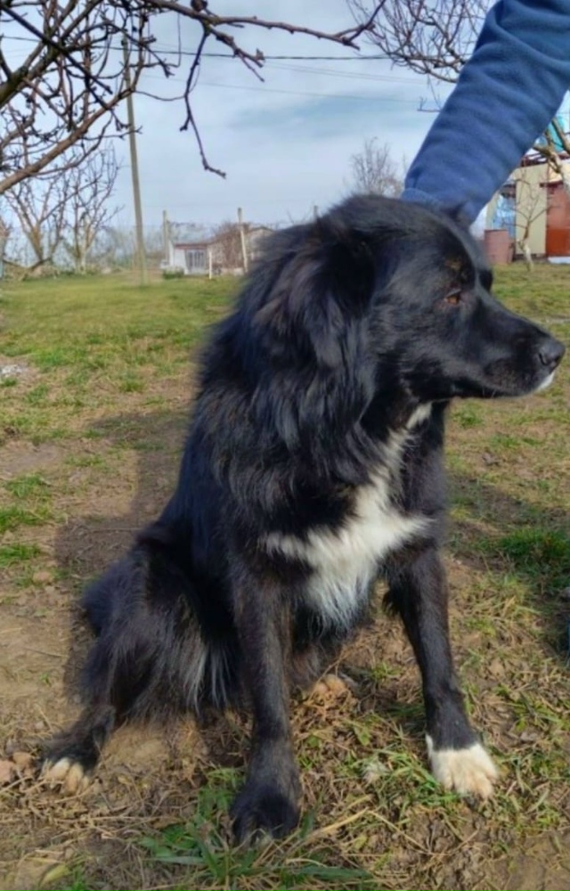 Познакомьтесь с чудесным мальчиком, которому 2 года! О...