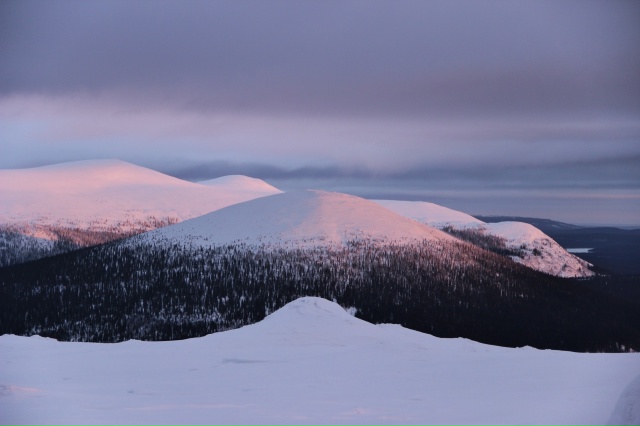 Прекрасные фотографии нашей природы🔥
Фотограф - Илья ...