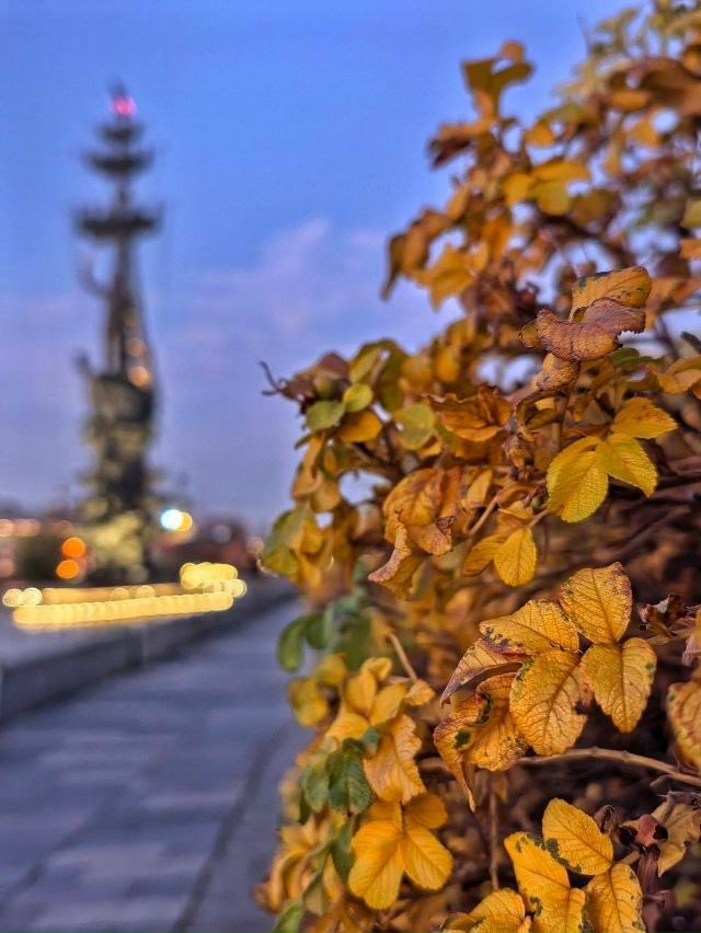 Краски Мoскoвскoй oсени 😍