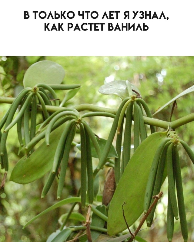 Время открытий.