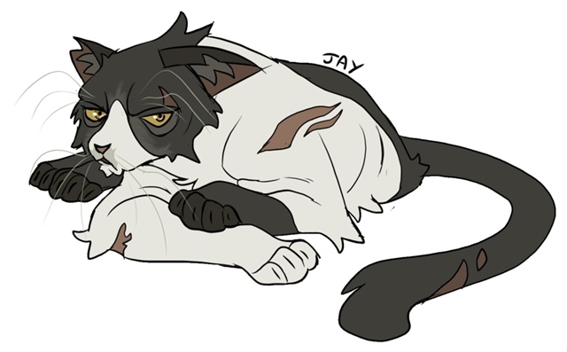 Сойка
© waiako
#KV_ZZ_ART