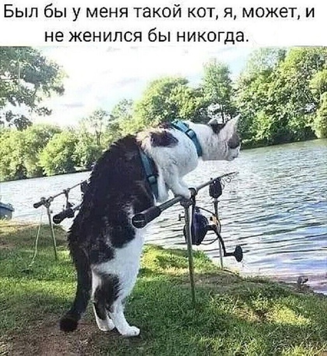 Рыбалка это своя атмосфера