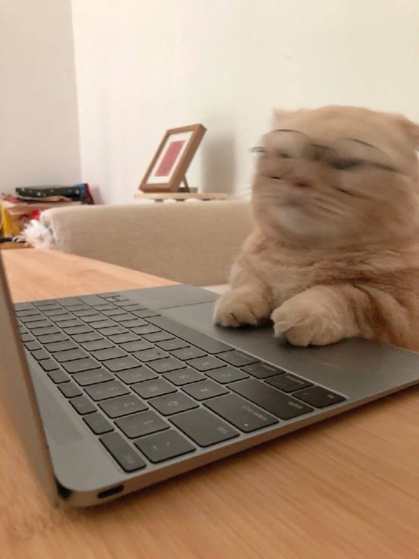 Што видит мой босс через секунду после окончания рабочего дня: