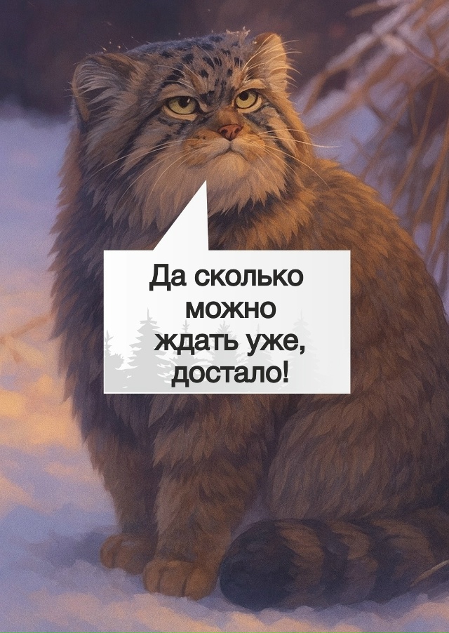 И вот так всегда