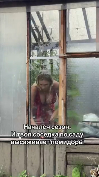 Соседка, которая точно разбирается в помидорах