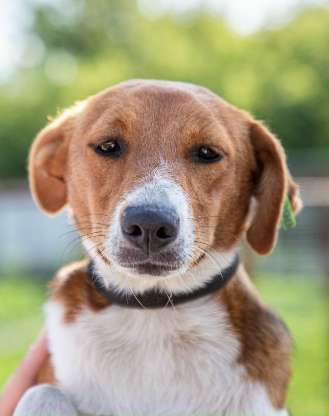 ?? Прямо сейчас на Полугоре проходит выставка-прист?...