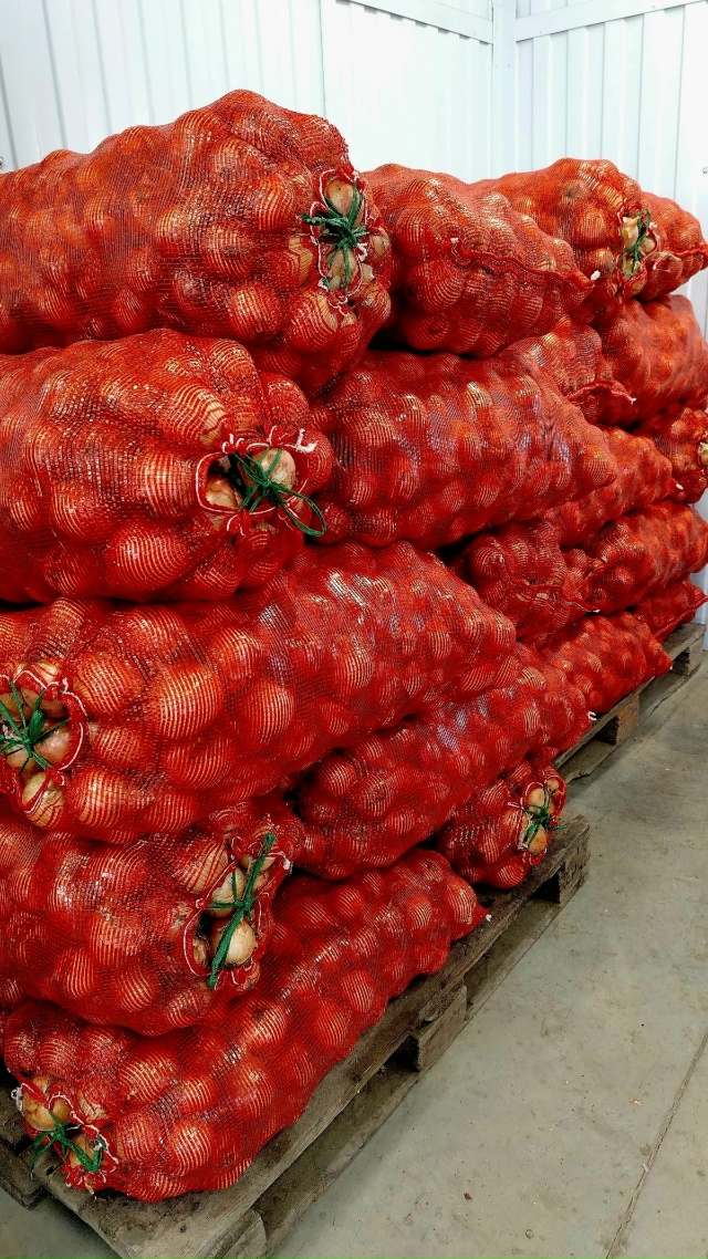 Продаём лук репчатый сухой,
одетый на хранение.
Оптом ...