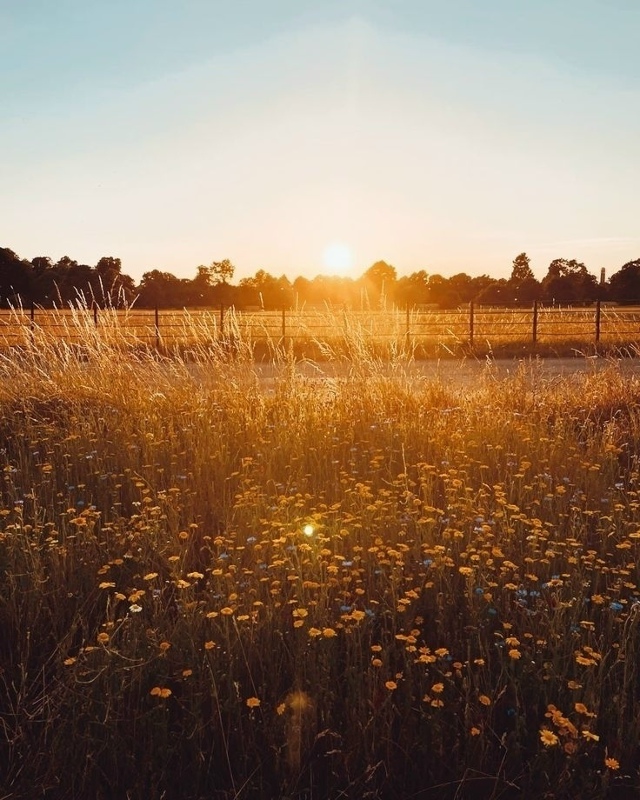 Удивительно, что может сделать один луч солнца с душой ...