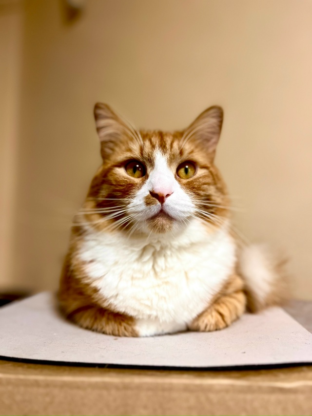 Гоша ? наш любимый мальчик ♥️