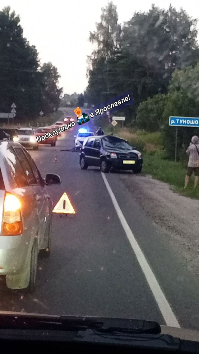 У Туношны сбили лосёнка.