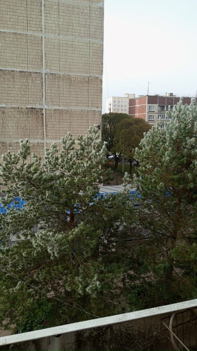 После тумана, который длился два дня, такая красота❤❤?...