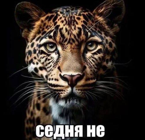он: давай расстанемся
я, которая пользуюсь всеми его платными подписками: