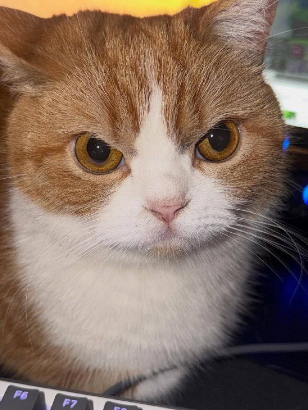 Ето я рабкотаю радостный и полный мотивации