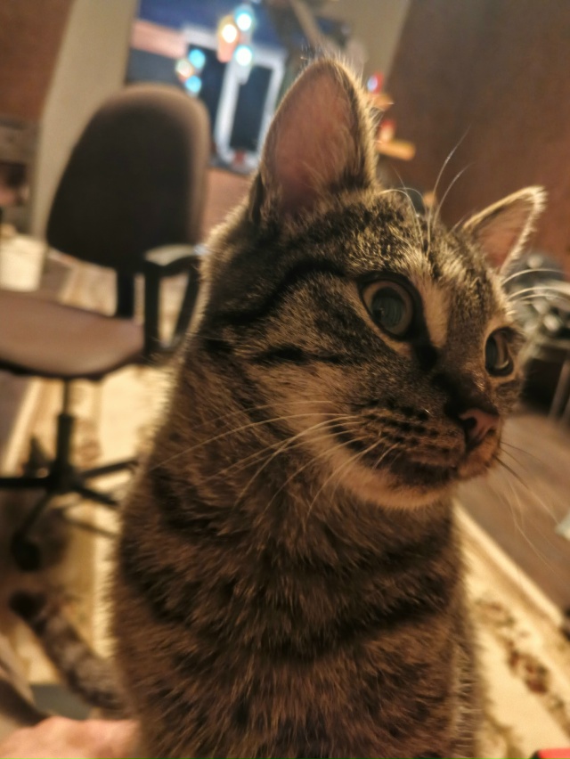 Щищ & Мурмелад
Милейшие звери