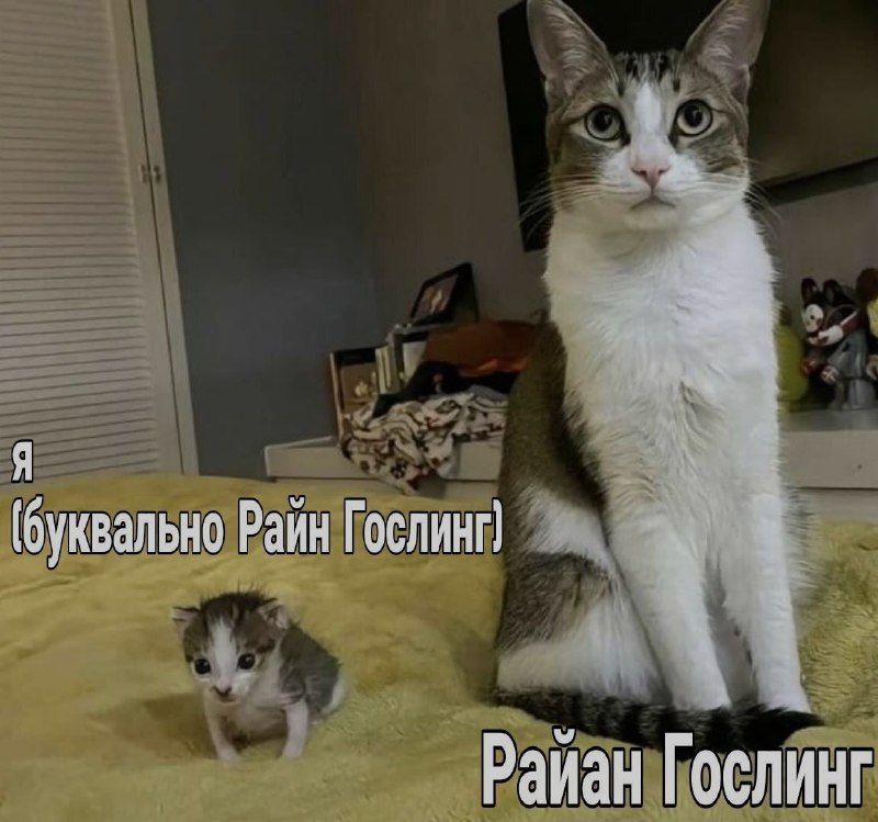 Ночная подборочка
Спать, режим