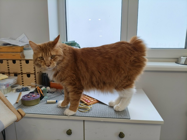 Ох уж эти длинные ножки