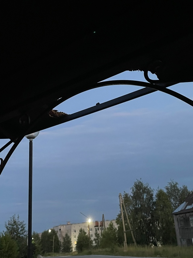 Пгт.Пиндуши. Вот такие грызуны насорили в парке в бесед...
