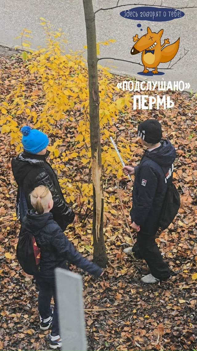 Сегодня ученики лицея 4, на углу дома по ул. Семченко, д. ...
