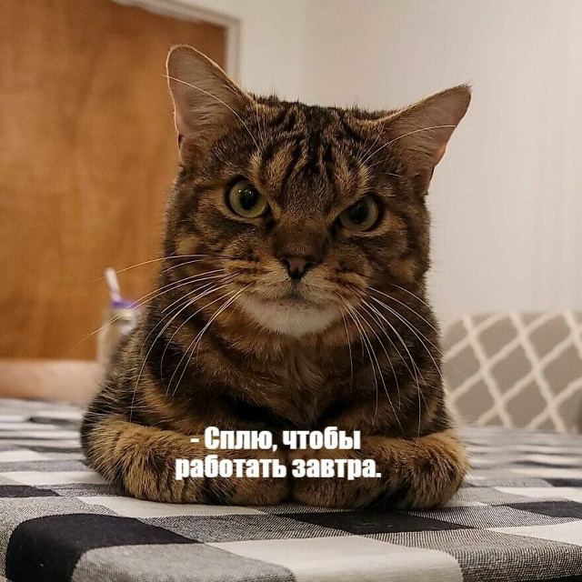 Про работу))