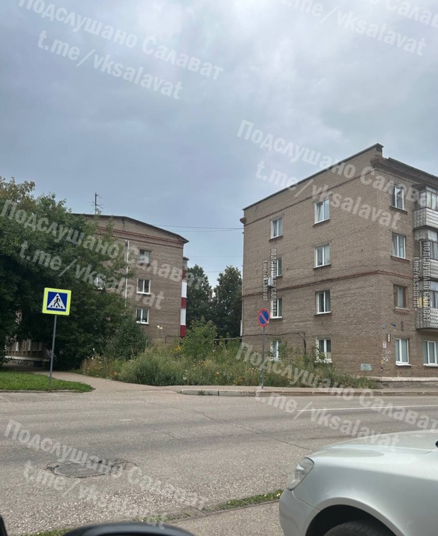 На Ключевой вообще косить траву будут? 🤬