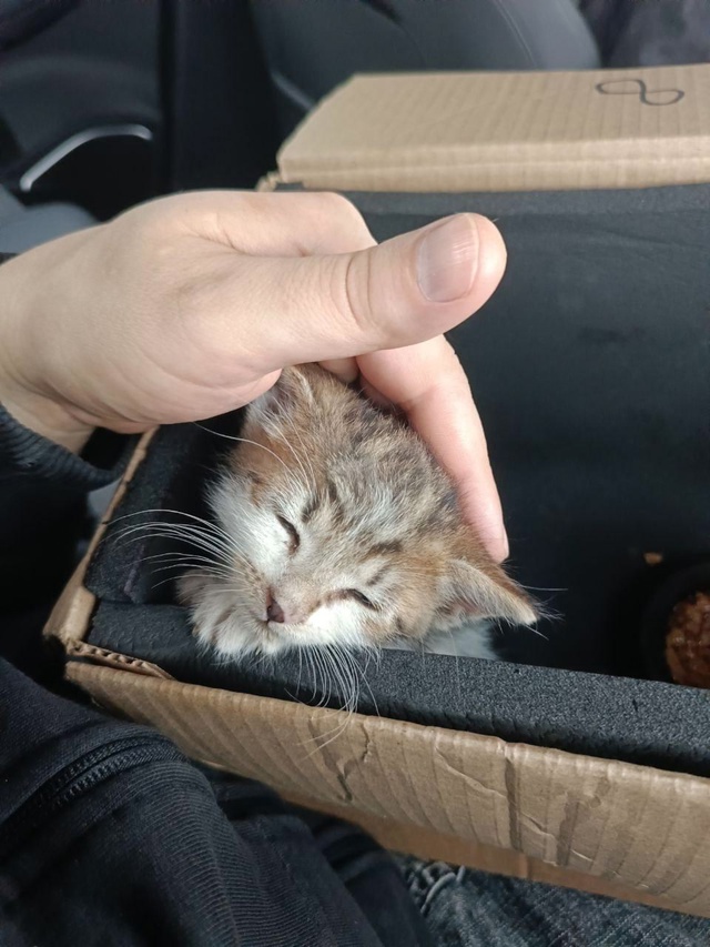 Видали, работяги? София уволилась с пыльной долбильни ?...