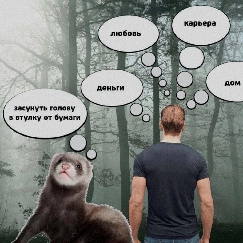 Ночная подборочка
Выходные, не спим