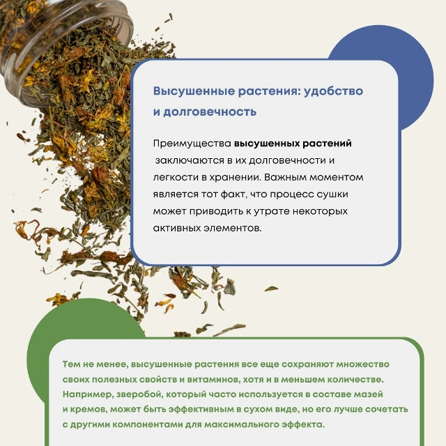 Вы задавались вопросом: какова разница в их эффективно...