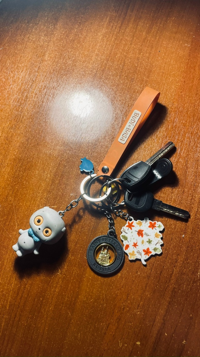 Найдены ключи возле сквера им. Б.Ф.Сафонова