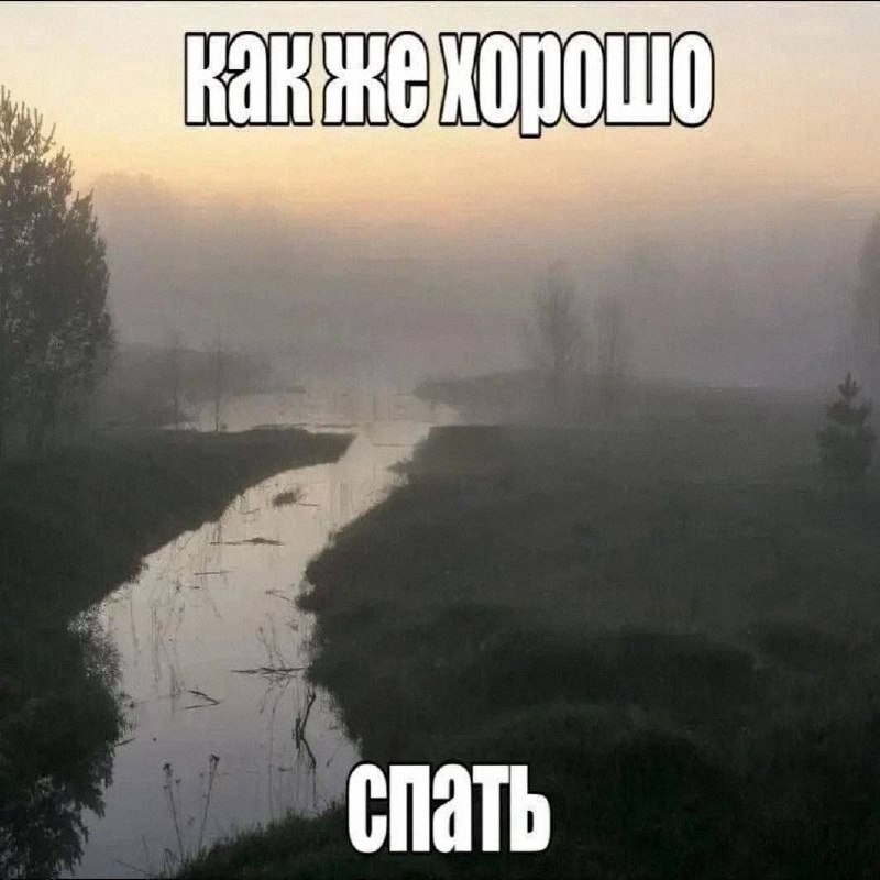 Утренняя подборочка