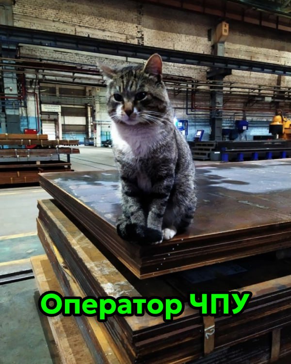 Сегодня отмечается День трудяги
Узнал себя?