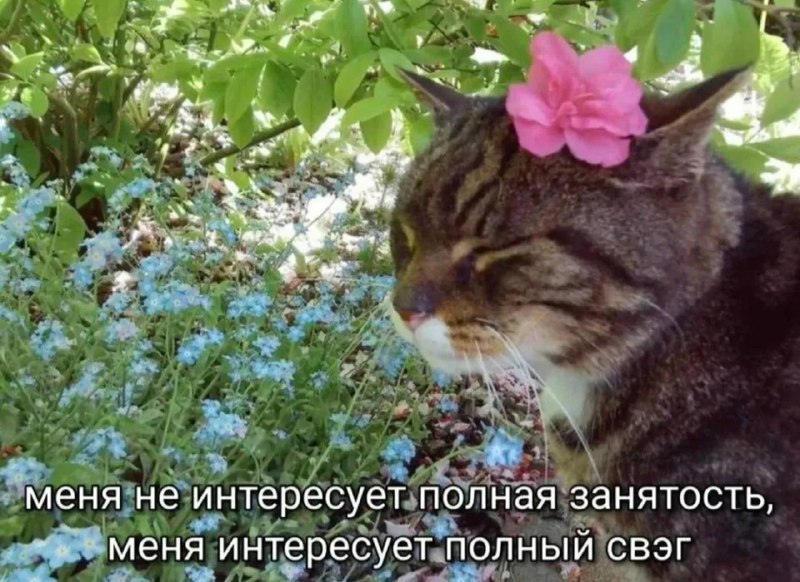 утреннее