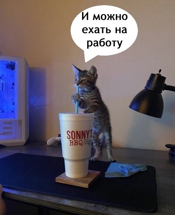 так и начинается утро