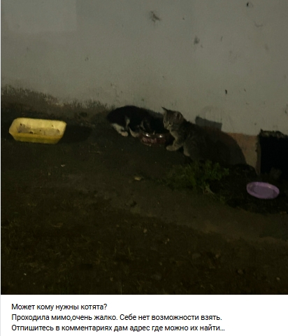 Пост добра. Распростаните, пожалуйста.