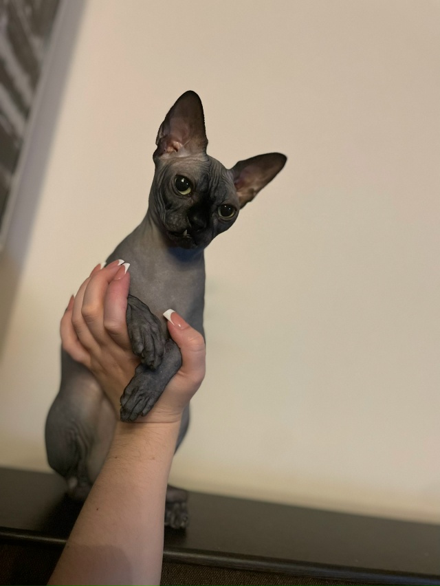 Котосын Лёня