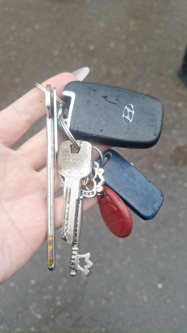 Найдены ключи на улице Ленина