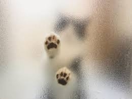 Есть мультик 