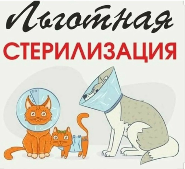 ‼️‼️‼️‼️‼️‼️‼️‼️‼️‼️
. 📣📣📣 Напоминаем в?...