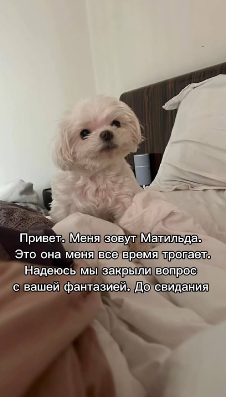 Лежу. Болею. Трогаю только Матильду, носовые платочки и терафлю.
Девушка выложила сторис, в котор