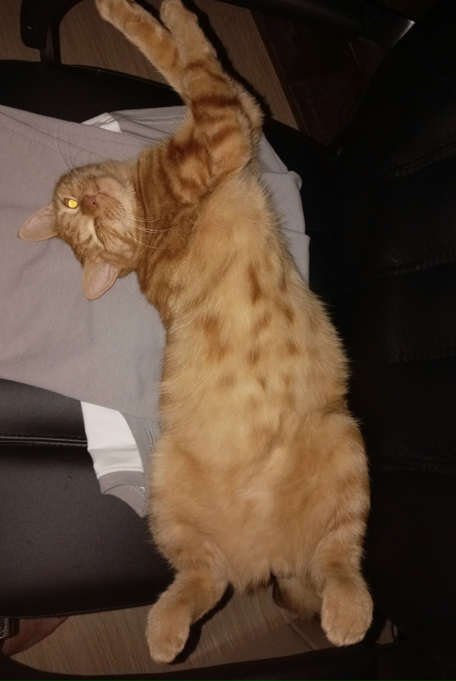 привет 😁от рыжего одноглазого пирата