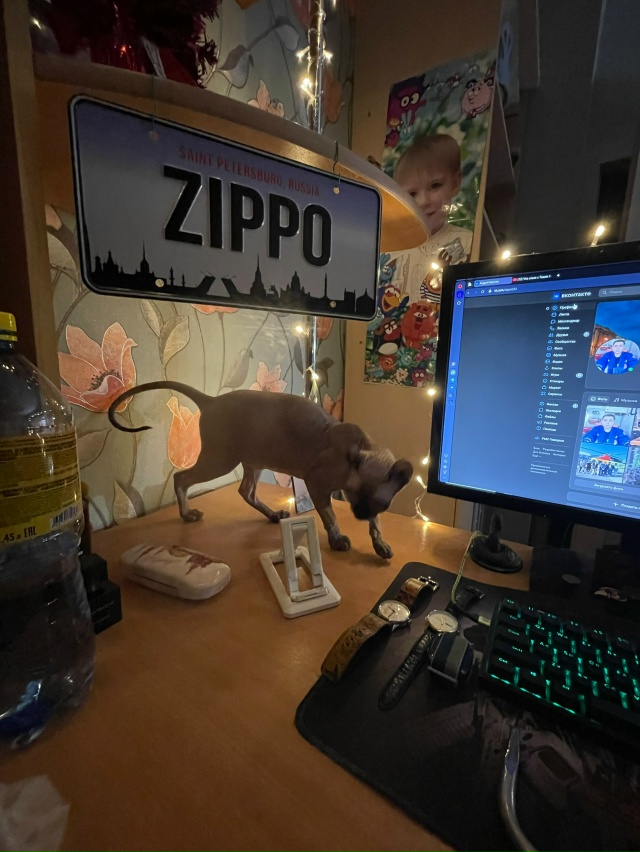 Всем привет! Это Титус, Тит, титька и окорочок. Мы ещё не...