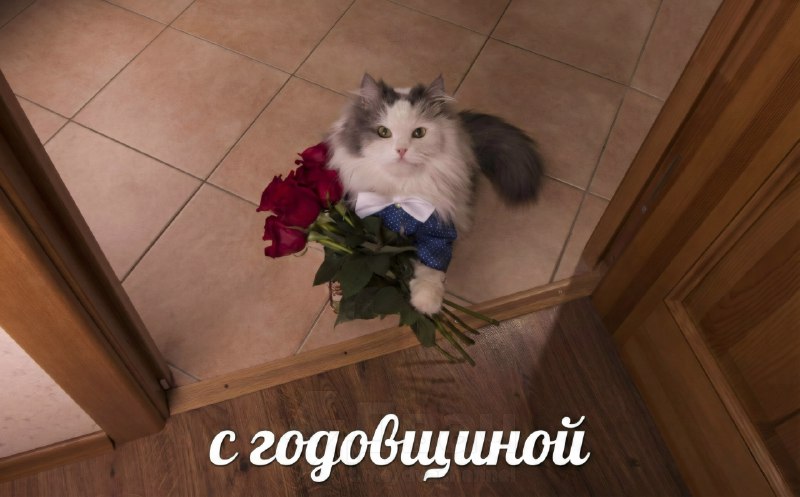 Сегодня отмечается четыре года с начала специальной военной операции