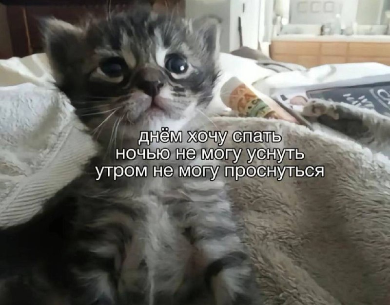 моя жизнь