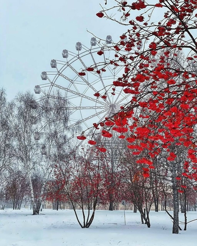 Снeжнaя cкaзкa в Ηoвocибиpcкe ☃️