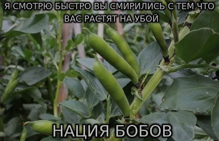 Ночная подборочка
Спать, режим