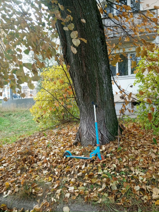 Кто потерял или оставили и забыли? Волхов 1 ул . Кирова...