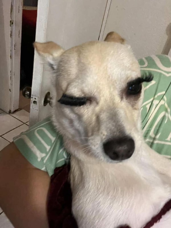 Ну что за красота