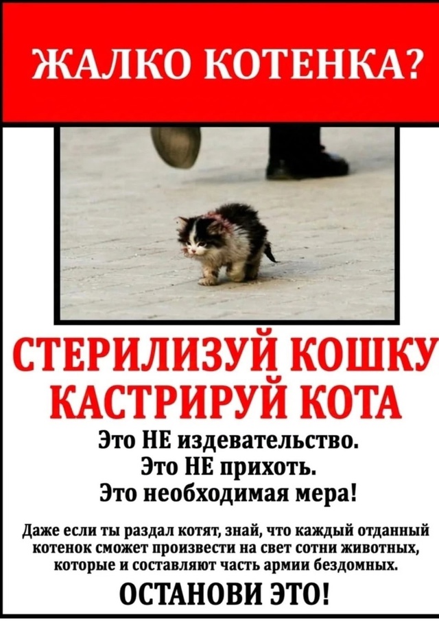 ‼️‼️‼️ ВНИМАНИЕ
31 ИЮЛЯ ( четверг) и ЕЖЕМЕСЯЧНО (2 ра...