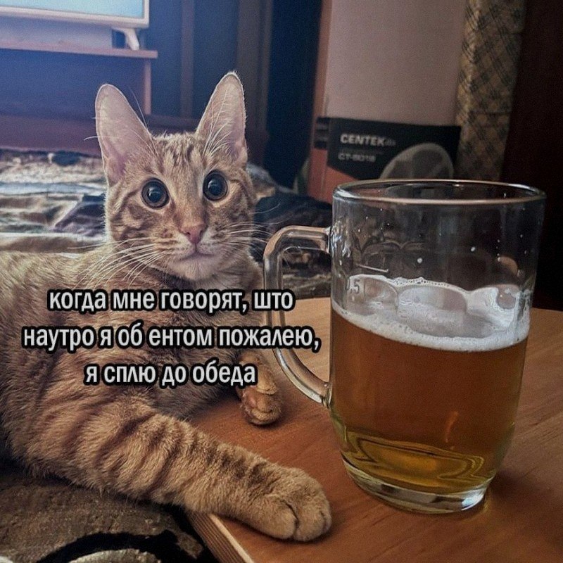 Ночная подборочка
Выходные, не спим