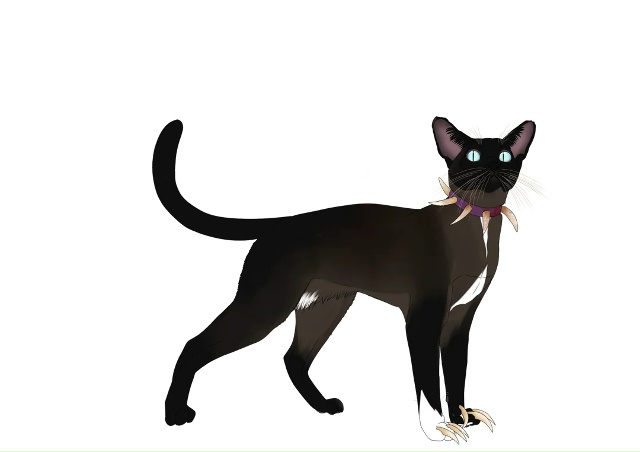 Летунья, Тучезвезд, Яролика, Ледошерстка, Медуница, Куд...