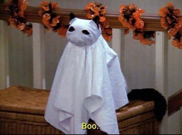 🎃 Запретить празднование Хэллоуина потребовали свер?...